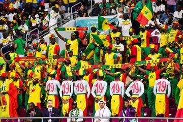Fans of Senegal 
