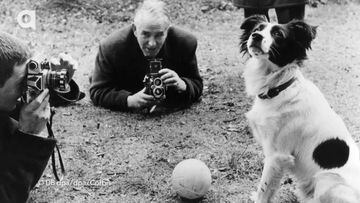 El perro Pickles que encontr&oacute; la Copa Jules Rimet en la Copa del Mundo de 1966.
