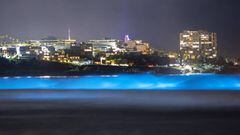 GV,General View Blue waves, illuminated by the light of bioluminescent organisms, crash along the coast La Jolla Shores beach with the community of La Jolla in the background. The light emitted by a bioluminescent organism is produced by energy released f