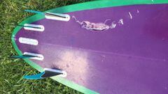 Tabla de surf lila y verde de Marjorie Mariano con dientes tibur&oacute;n tigre marcados.
