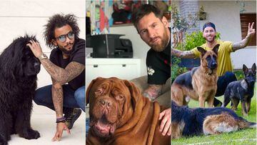 Te presentamos a algunos futbolistas y sus perros. Messi, Cristiano, Neymar, Griezmann, los hermanos Dos Santos y otros jugadores que comparten el amor de un canino.