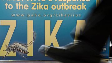 Experts seek Rio Games move over Zika virus fears