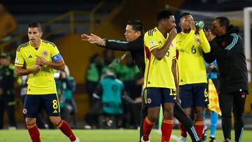 Héctor Cárdenas dándole instrucciones a sus jugadores durante un partido de la Selección Colombia en el Sudamericano Sub 20.