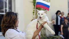 Achilles the cat prepares for role as World Cup 2018 psychic