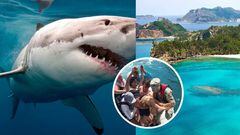 Turista mexicana es atacada por tiburón en Isla Galápagos, Ecuador: esto sabemos