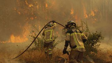 Plan de contingencia por incendios forestales: qué hacer, pasos a seguir y consejos importantes