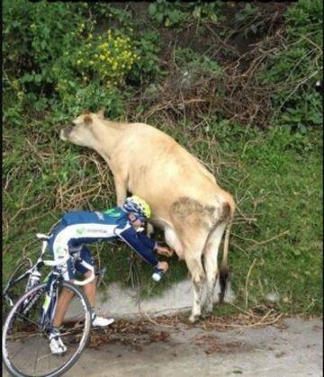 Alejandro Valverde, del Movistar Team, cambió el agua por la leche para refrescarse en una etapa.