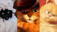 El mundo del entretenimiento est&aacute; invadido por famosos gatos como Salem, El gato con botas, Garfield, por mencionar algunos y el 8 de agosto se celebra el D&iacute;a Internacional del Gato.