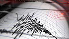 Temblor en Concepción hoy: ¿qué grado fue el sismo?