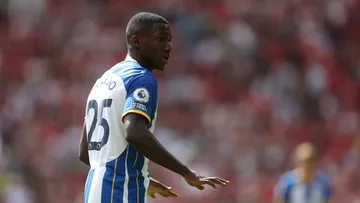 Moisés Caicedo, jugador del Brighton, pide calma durante un partido.