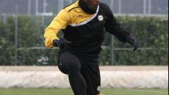 Duv&aacute;n Zapata ha disputado 7 partidos y ha marcado 4 goles en Udinese.