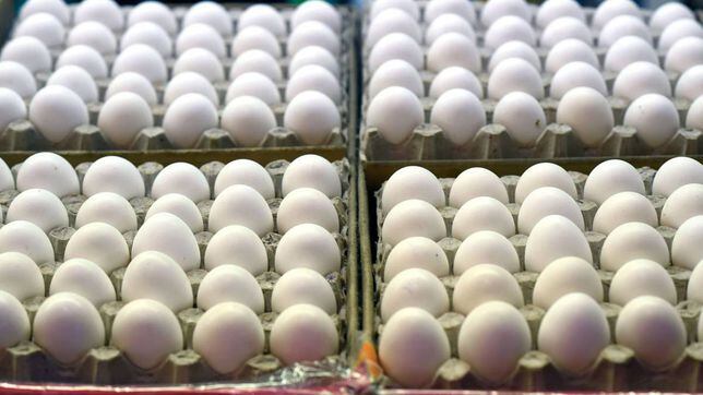 Why are egg prices going down and why did they go up so much in recent months?