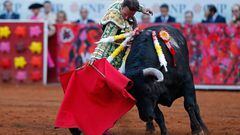 Corridas de toros vuelven a la CDMX: Suprema Corte elimina suspensión en Plaza México