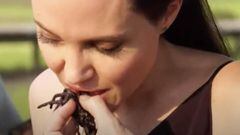 Angelina Jolie degusta tar&aacute;ntulas y escorpiones en Camboya. Imagen: Twitter