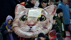 En Liverpool, gatos en protesta a Zouma.