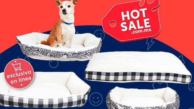 Hot Sale 2022: estas son las mejores ofertas para mascotas