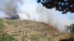 Incendio forestal en el Cerro de San Miguel de Granada
 TWITTER INFOCA
 29/05/2022