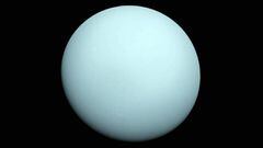 NASA has been urged to make a mission to Uranus its number-one priority.