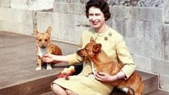 Isabel II y dos de sus perros