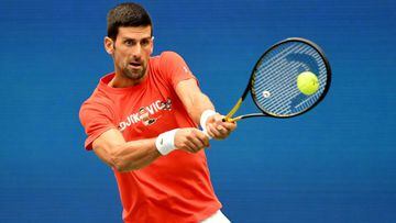 Djokovic: "Completar el Grand Slam sería mi mayor logro"
