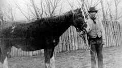 La historia de Malacara: el caballo galés que le dio la Patagonia a Argentina y se la quitó a Chile