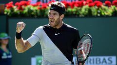 Del Potro saves match points to stun Federer for Indian Wells title