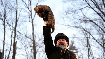 Este 2 de febrero es el Día de la Marmota en USA. ¿Qué ha pasado?¿La marmota de Punxsutawney vió su sombra? Esta es su predicción para 2023.