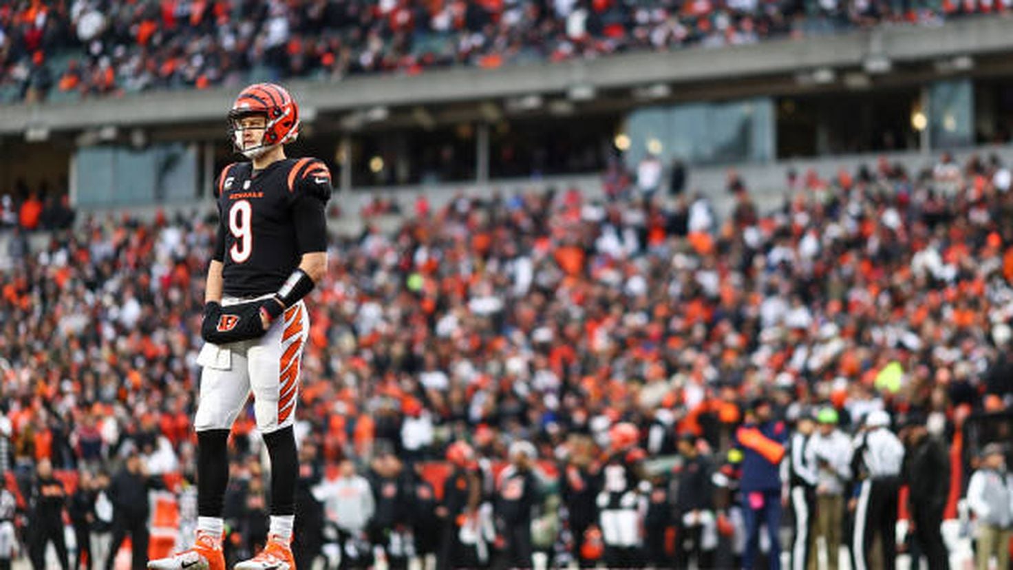 PHOTOS: Cincinnati Bengals at Tampa Bay Buccaneers, Dec. 18