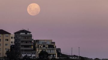 SYDNEY, AUSTRALIA - APRIL 26: A pink super moon rises over Bondi Beach on April 26, 2021 in Sydney, Australia. The pink super moon is the first of two super moons which will be visible in 2021. A super moon is a name given to a full (or new) moon that occ