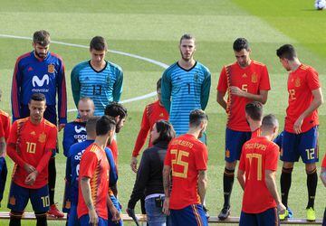 Lopetegui's Spain pose in their 2018 World Cup kit