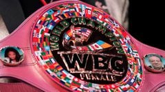 WBC president Mauricio Sulaimán has said that the sanctioning body intends to establish a new transgender boxing category in 2023.