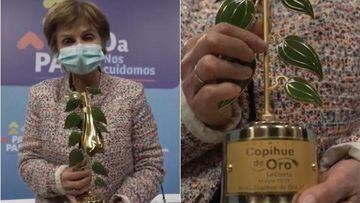 Ganadores Premios Copihue de Oro: premiados y quién es la nueva Reina