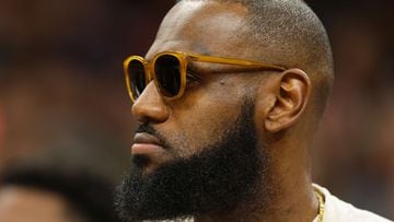 LeBron James will be sitting out the last two games of the Los Angeles Lakers for the season due to an ankle injury that he sustained last month.