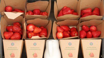 Fresas para el público en le Primer Día de Wimbledon. 