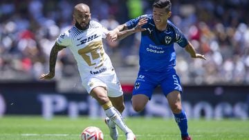 Los Pumas de A la una pasión infinita -