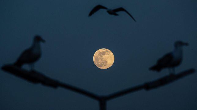Superluna de fresa | A qué hora es, cuándo y donde ver la luna llena de junio 2022