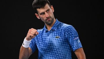 Novak Djokovic beat Stefanos Tsitsipas in the 2023 Australian Open final to add to his record haul of men’s singles championships in Melbourne.