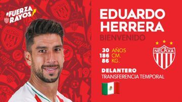 Bienvenida de Eduardo Herrera con Necaxa