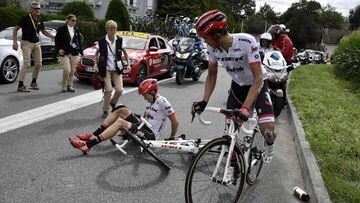 Alberto Contador y Michael Gogl se cayeron a 22 kil&oacute;metros de Pau.