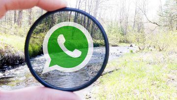 Android también tendrá los filtros fotográficos para WhatsApp