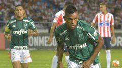 El delantero colombiano Miguel Borja celebrando su gol con Palmeiras en el triunfo sobre Junior por Copa Libertadores