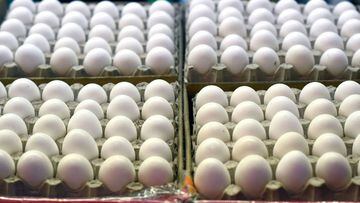 El precio del huevo en Estados Unidos continúa cayendo. Te explicamos la razón del declive de los precios tras meses de aumentos.