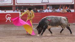CDMX: Comisiones aprueban iniciativa para prohibir las corridas de toros