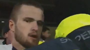 Dier confronts fan over abuse of player's brother