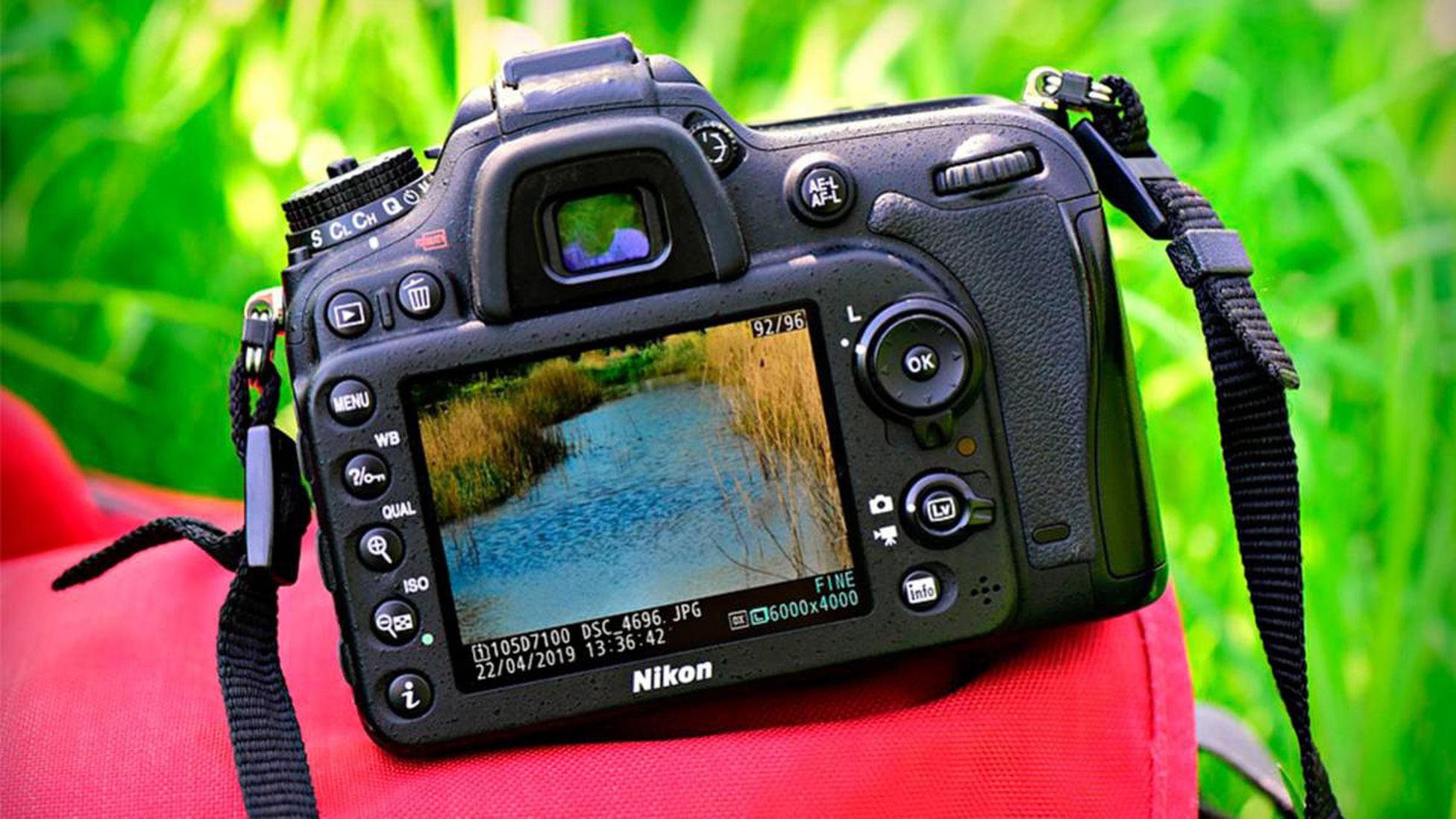 Deportista Abundancia bañera Qué necesitas para iniciarte en la fotografía: Tu primera cámara digital -  Showroom