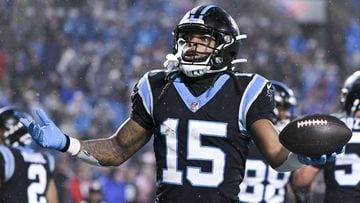Falcons 15 vs 25 Panthers summary: stats and highlights