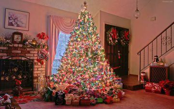Creemos que, bajo tanta decoraci&oacute;n, hay un &aacute;rbol de Navidad