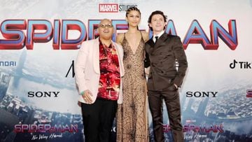¿Andrew Garfield y Tobey Maguire aparecen en 'Spider-man: No way Home'?