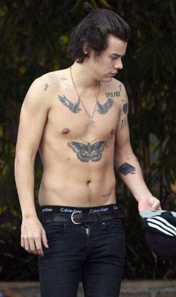 El cantante Harry Styles es amante de los tatuajes y así ha adornado su pecho