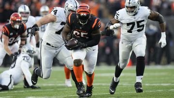 Bengals colocan a Larry Ogunjobi en la lista de reservas lesionados - AS USA